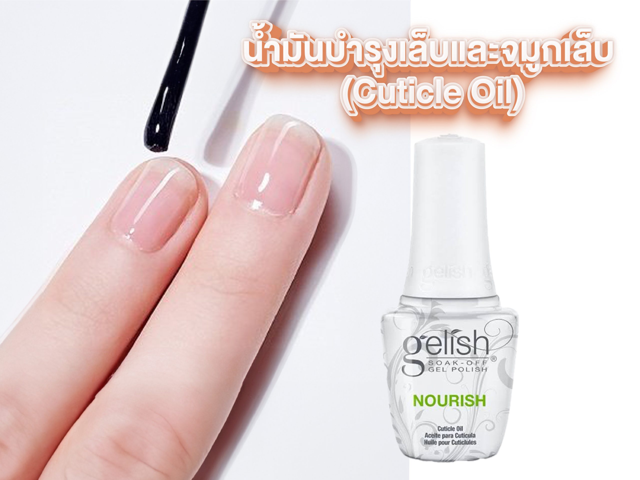 อุปกรณ์ทำเล็บเจลมีอะไรบ้าง